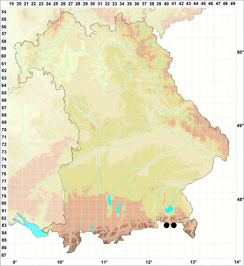 Karte S. Gey Sammelkartierung Loferer und Leoganger Alpen