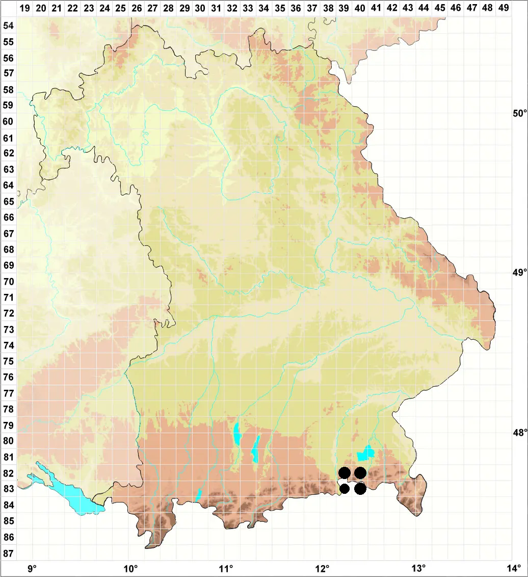 Karte S. Gey Sammelkartierung Chiemgauer Alpen -> Geigelstein