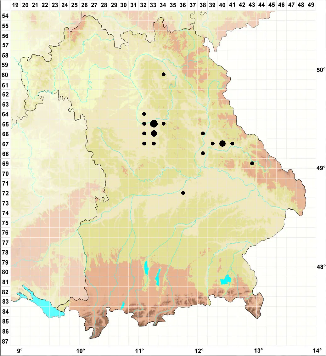 Karte Kiefernwaldkartierung LWF 2012